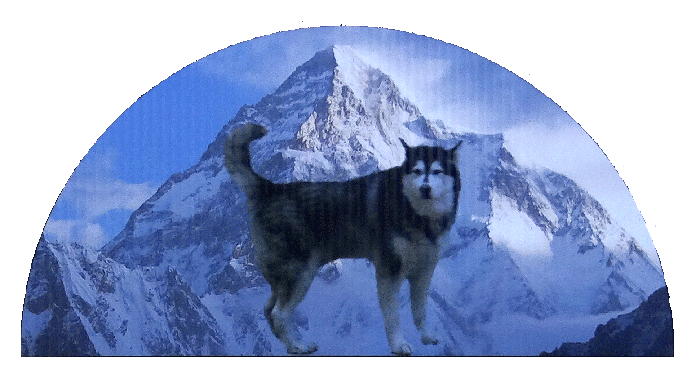 This dog in front of some mountains is part of Tony's Oil Company Logo